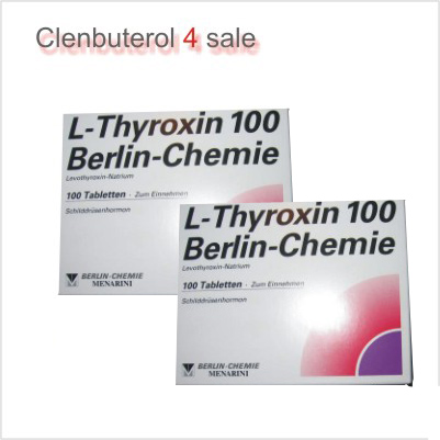 T4 L-Thyroxin 100 2 boxes 200 tabs